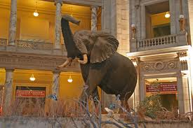 Natural History Museum