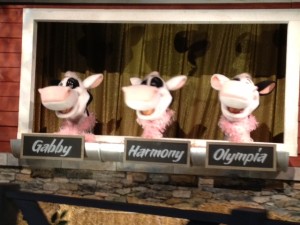 Singing Cows