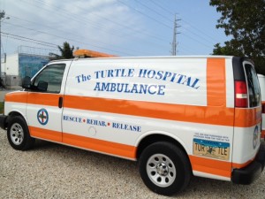 Turtle Hospital Ambulance