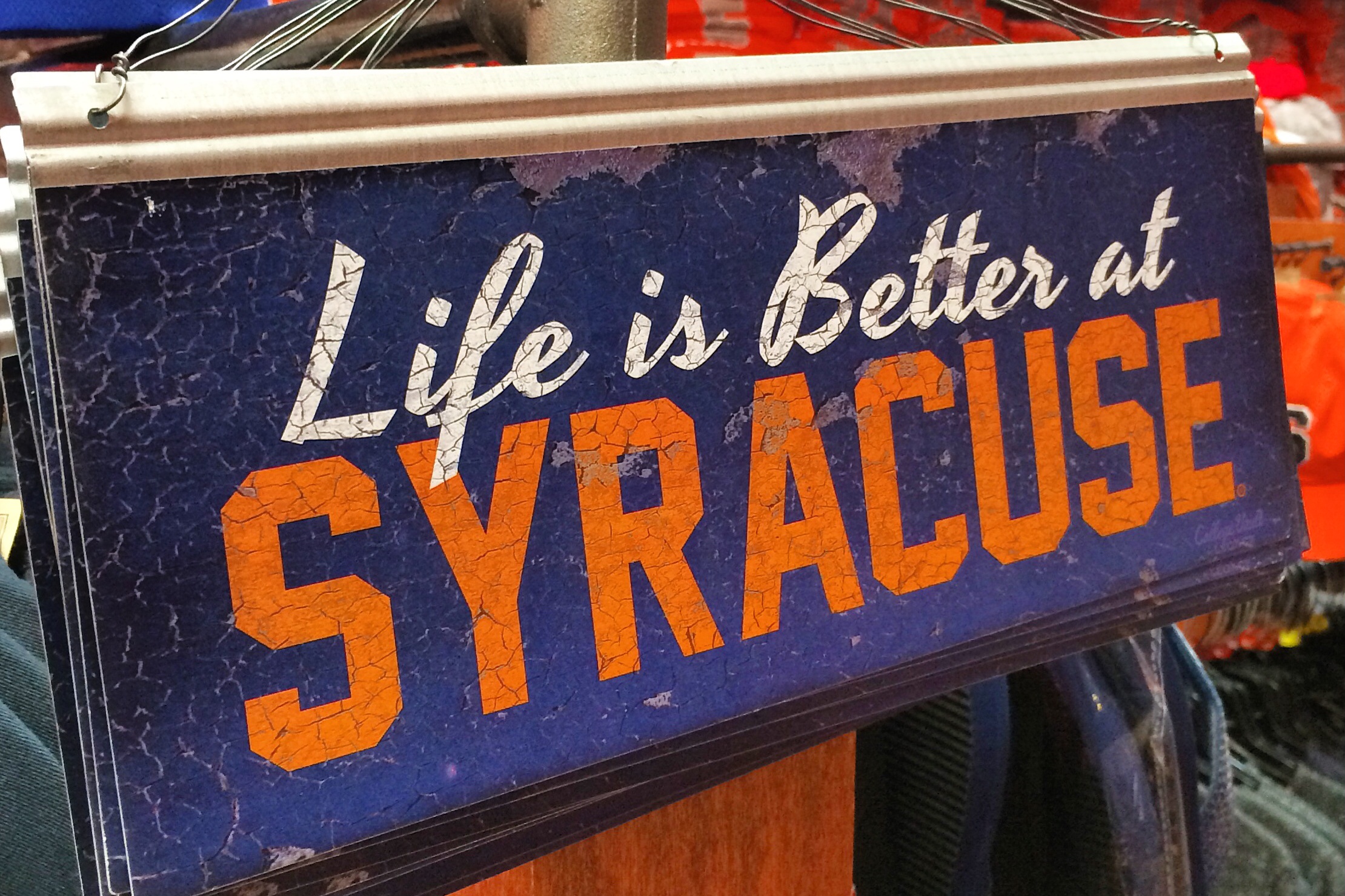 15 Things to Do as a Family in Syracuse Kidventurous