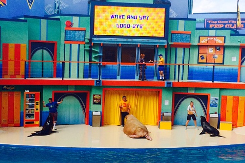 Clyde and Seamore's Sea Lion High