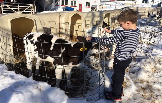 Things To Do In York Pa Farms