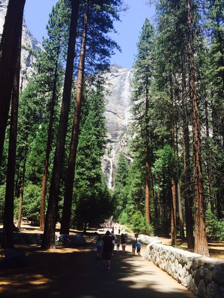 10 Things to Do as a Family at Yosemite National Park - Kidventurous