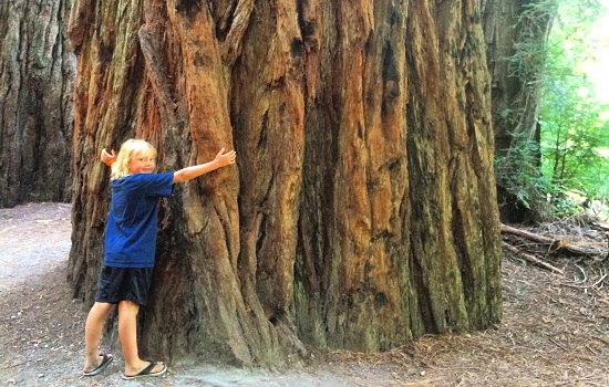 10 Things to Do as a Family at Redwood National & State Parks