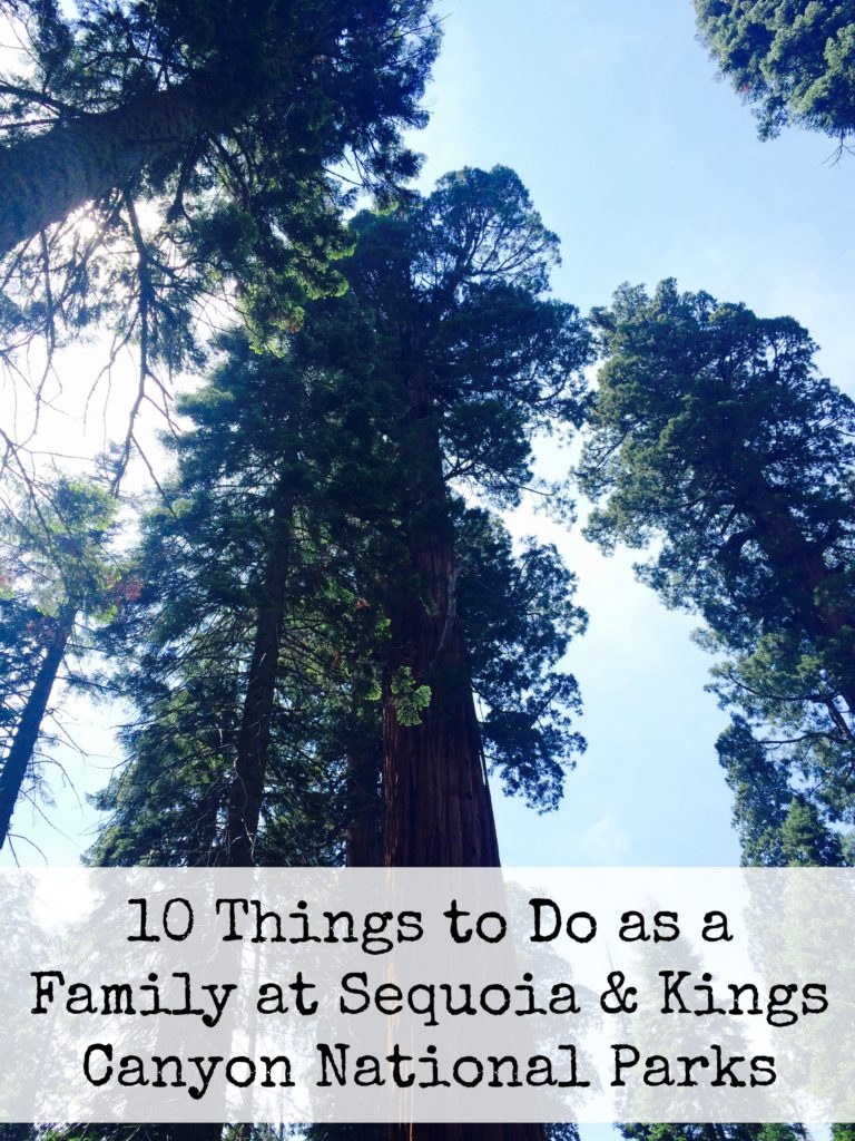 10 Things to Do as a Family at Sequoia & Kings Canyon National Parks 