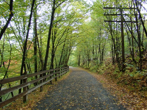 Lackawanna River Heritage Trail 